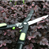 ciseaux de jardin Deli DL580324