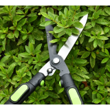 ciseaux de jardin Deli DL580324