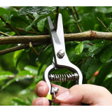 Ciseaux de jardin Deli DL580123