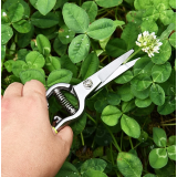 Ciseaux de jardin Deli DL580123