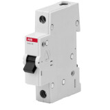 Disjoncteur automatique ABB BMS411C20 (2CDS641041R0204)