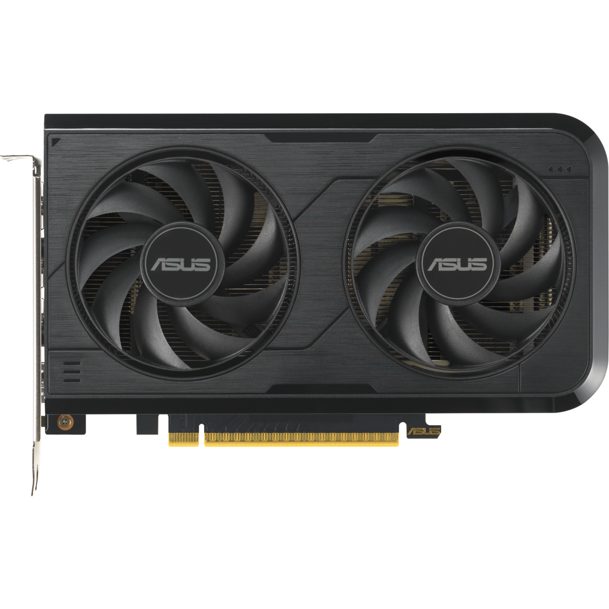 carte graphique NVIDIA GeForce RTX 5050 ASUS OC 8GB (DUAL-RTX5050-O8G)