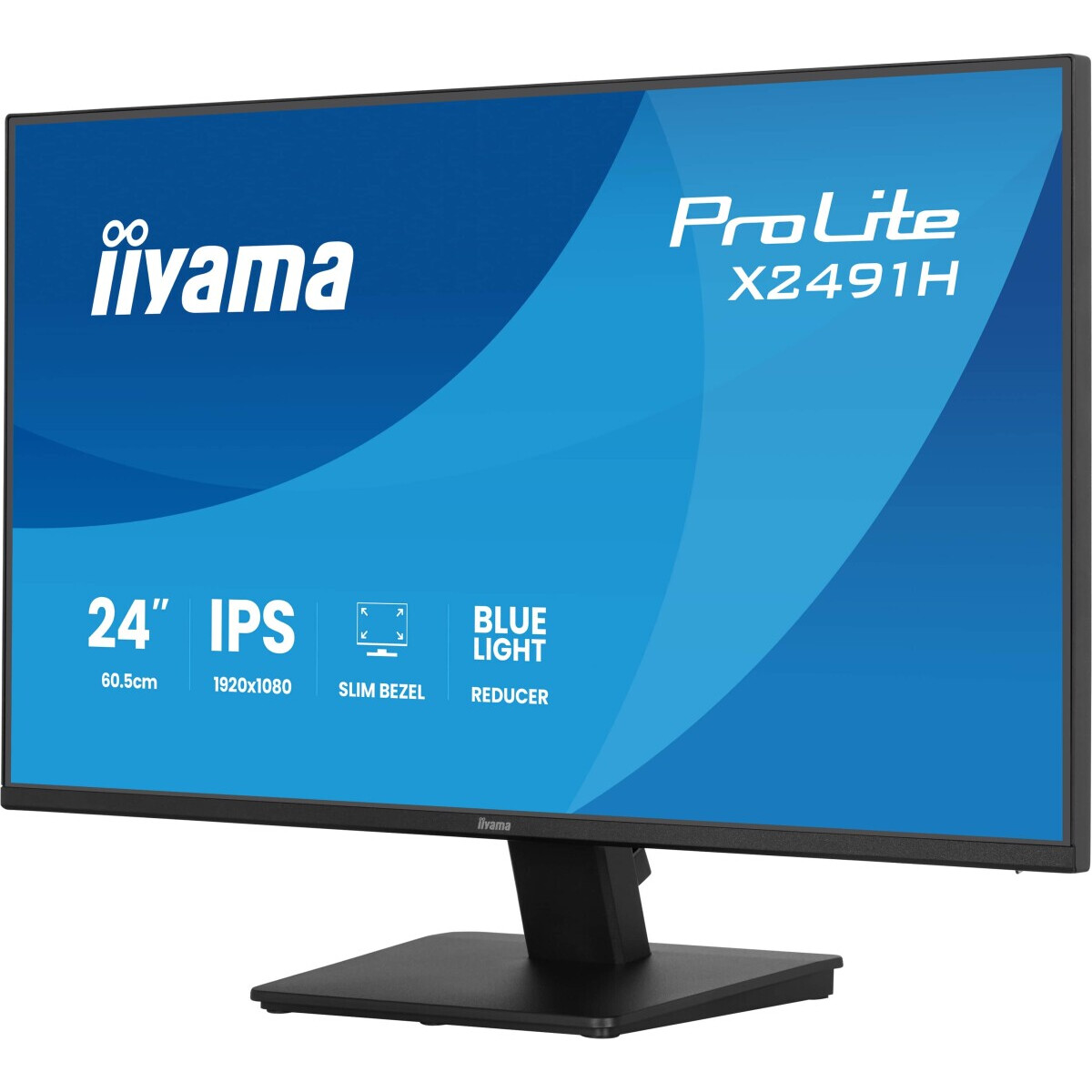 Moniteur iiyama 24" ProLite X2491H-B1 - photo 2