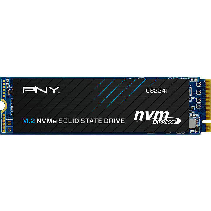 SSD (disque de stockage) 500GB PNY CS2241 (M280CS2241-500-RB)