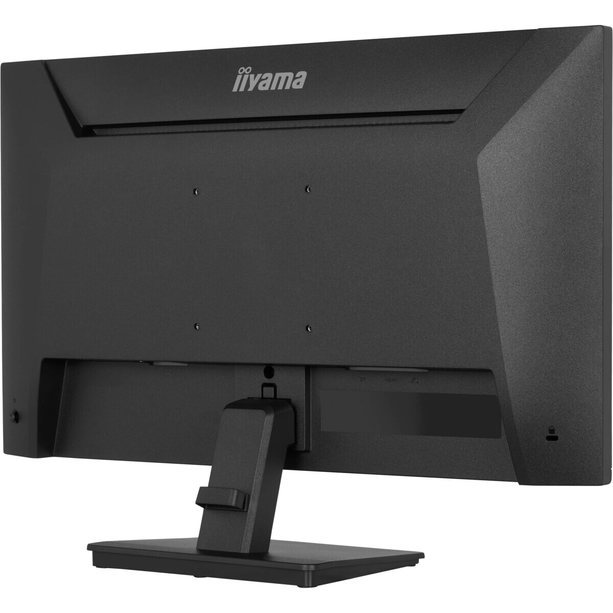 Moniteur iiyama 24" ProLite X2491HS-B1 - photo 5