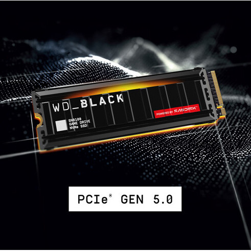 Disque SSD 4TB WD Black SN8100 (WDS400T1XHM) - photo 5
