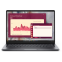 Ноутбук Dell Pro 14 Magnetite (PC14250) (73D00)