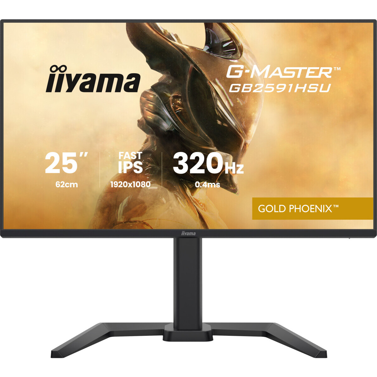 Moniteur iiyama 25" G-Master GB2591HSU-B1