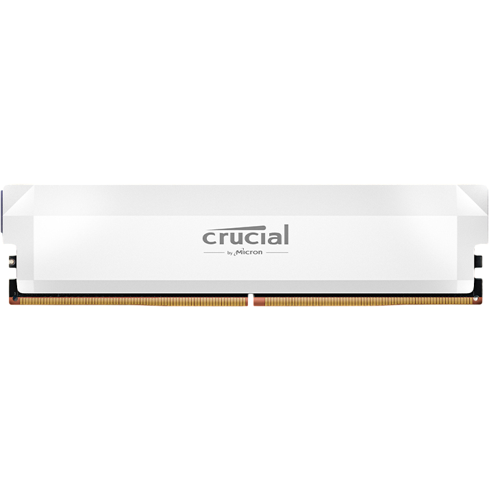 Mémoire vive 16GB DDR5 6400MHz Crucial Pro (CP16G64C32U5WT) OEM