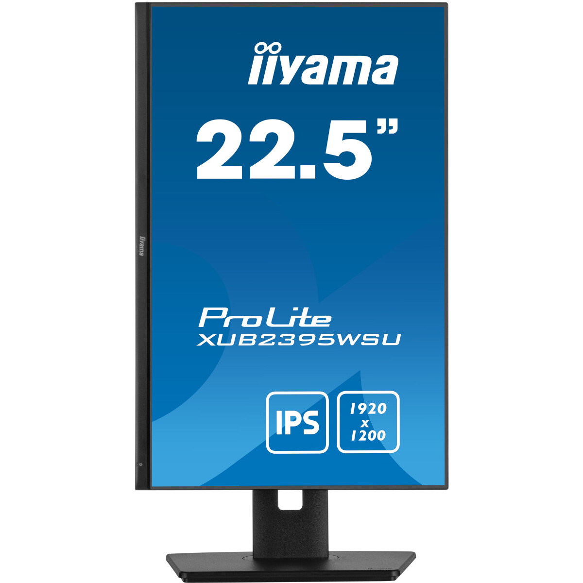 Монитор iiyama 23" ProLite XUB2395WSU-B5 - photo 4