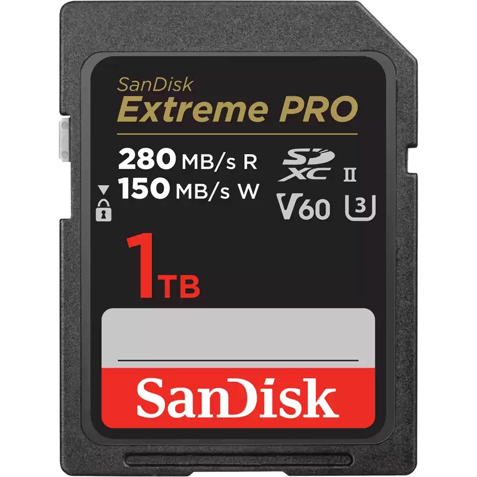 Carte mémoire 1TB SD SanDisk Extreme Pro (SDSDXEP-1T00-GN4IN)