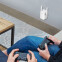 Amplificateur Wi-Fi (répétiteur) TP-Link RE205 - photo 6