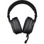 Гарнитура Thermaltake Argent H5 Surround RGB Black - GHT-THF-DIECBK-31 - photo 4
