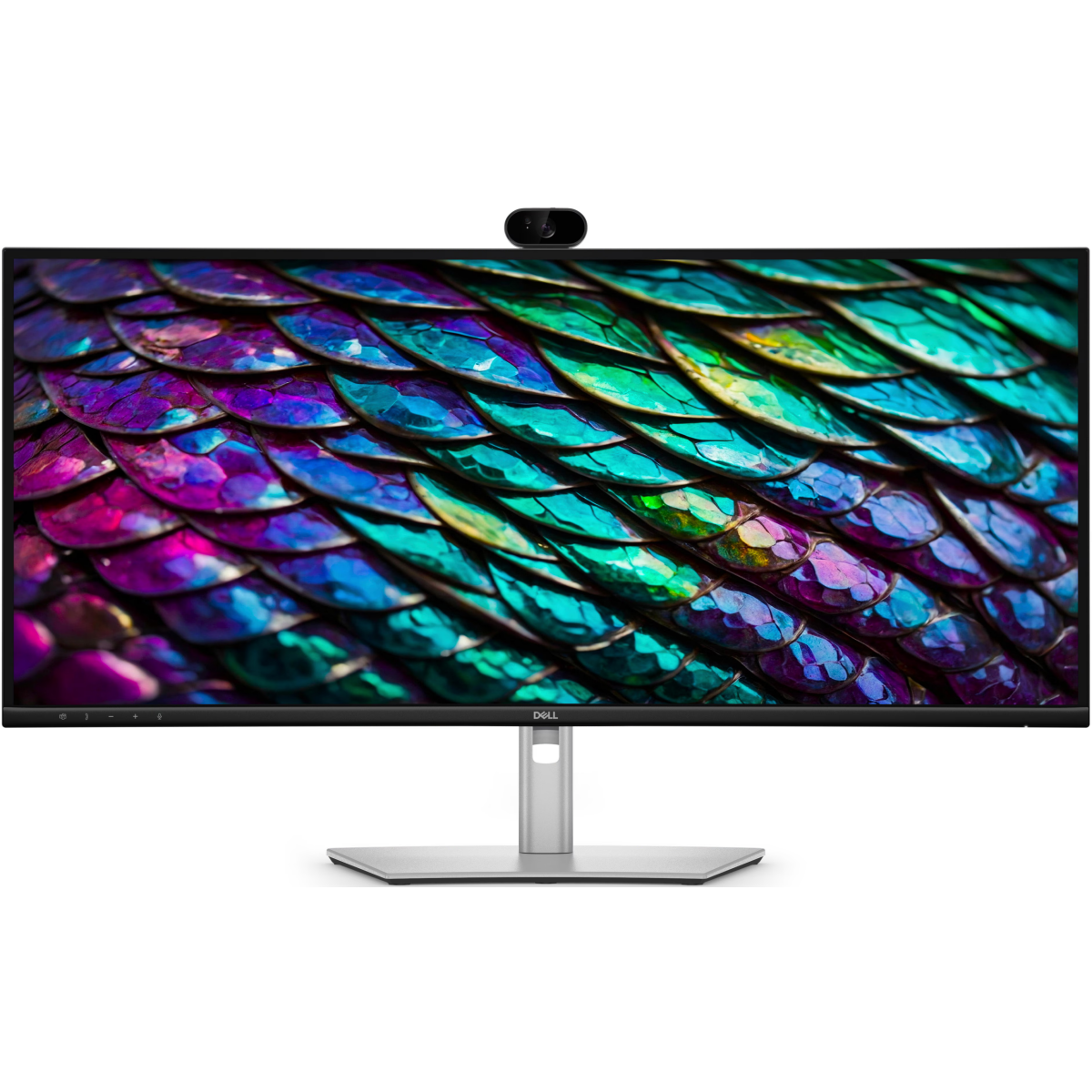 Écran Dell 34" Pro P P3426WEB