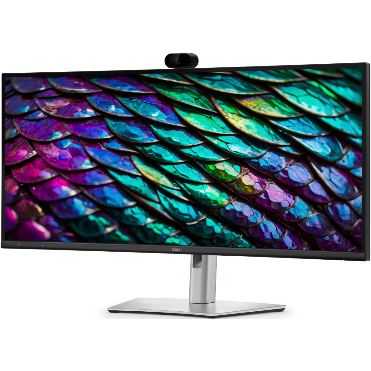 Écran Dell 34" Pro P P3426WEB - photo 2