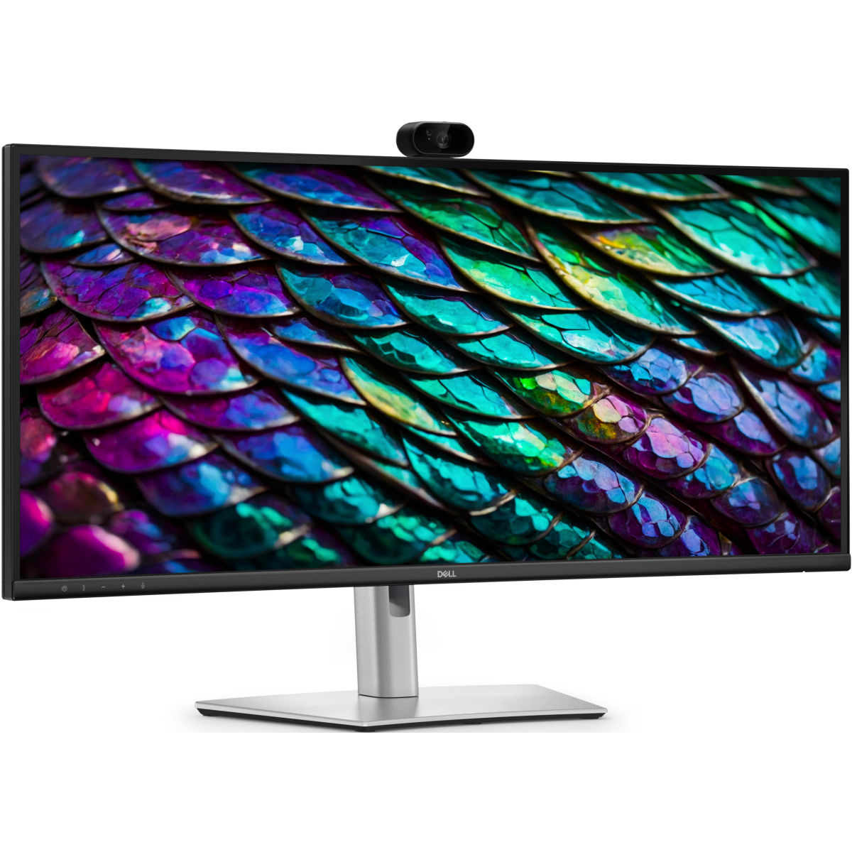 Écran Dell 34" Pro P P3426WEB - photo 3