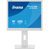 Écran iiyama 19" ProLite B1980S-W1
