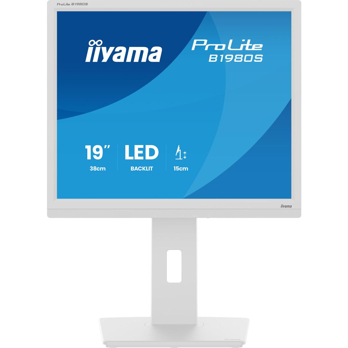 Écran iiyama 19" ProLite B1980S-W1