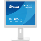 Écran iiyama 19" ProLite B1980S-W1