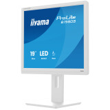 Écran iiyama 19" ProLite B1980S-W1