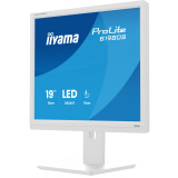 Écran iiyama 19" ProLite B1980S-W1