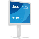 Écran iiyama 19" ProLite B1980S-W1