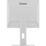 Écran iiyama 19" ProLite B1980S-W1