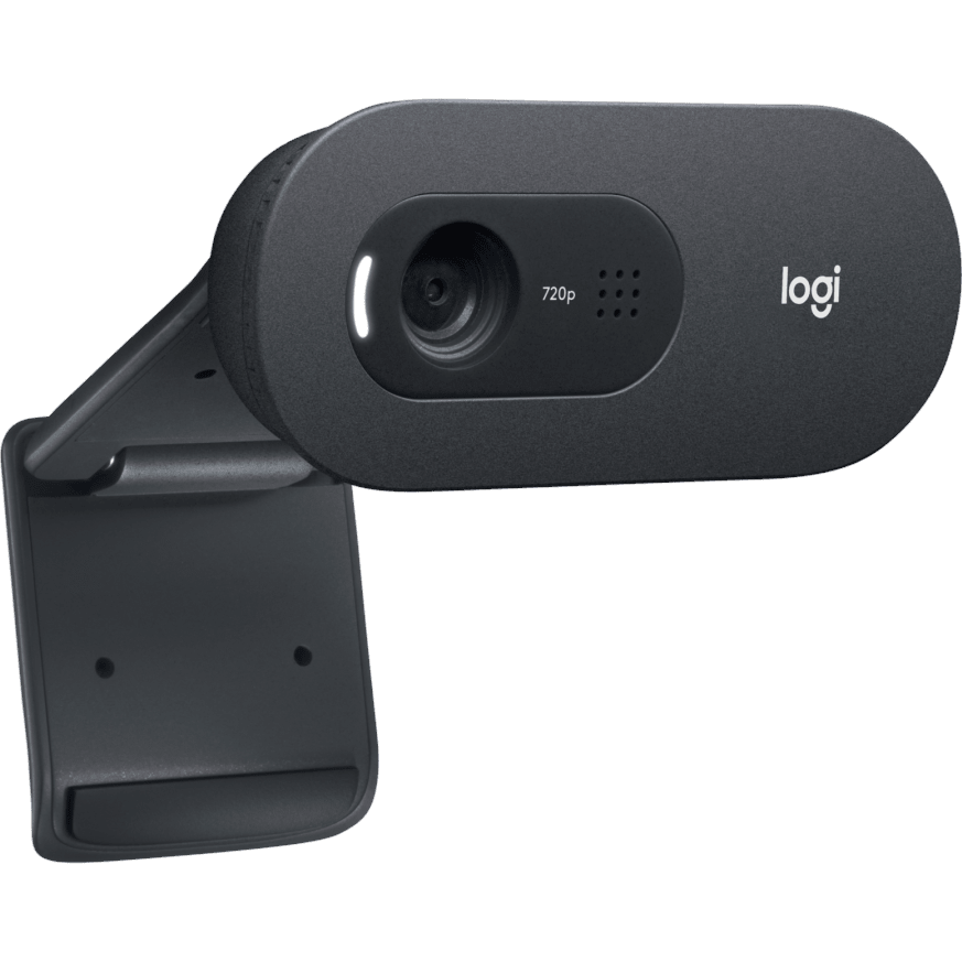 Caméra Web Logitech WebCam C505 HD (960-001364) - photo 3