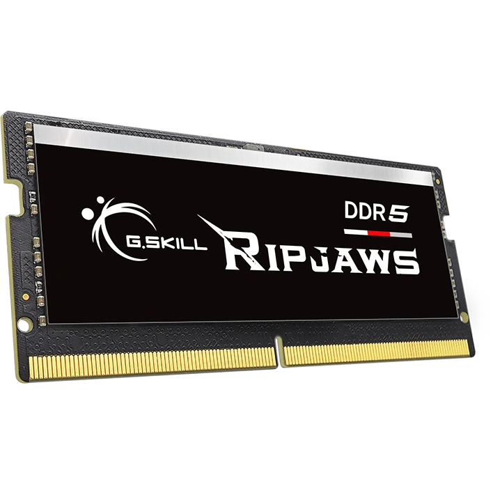 Mémoire vive 32GB DDR5 4800MHz G.Skill Ripjaws SO-DIMM (F5-4800S4039A32GX1-RS)