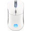 Souris Endorfy Gem Plus Onyx RGB White (EY6A015)
