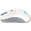 Souris Endorfy Gem Plus Onyx RGB White (EY6A015) - photo 10