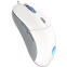 Souris Endorfy Gem Plus Onyx RGB White - EY6A011 - photo 2