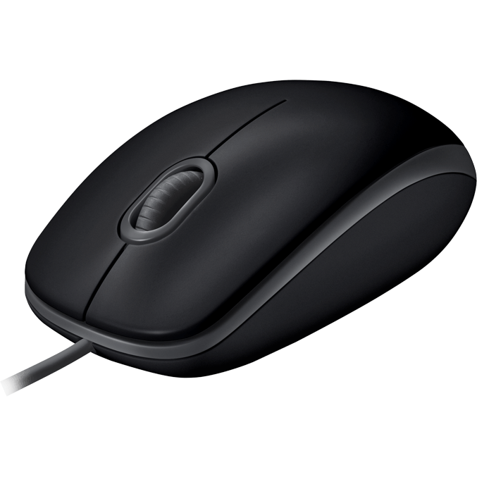 Souris Logitech B110 Silent Black (910-005508)