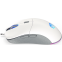 souris Endorfy Gem Onyx RGB White - EY6A012 - photo 10