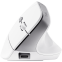 Souris Trust Bayo II Wireless White - 25398 - photo 3