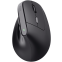 Souris Trust Bayo II Wireless Black - 25145