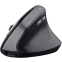 Souris Trust Bayo II Wireless Black - 25145 - photo 2