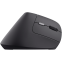 Souris Trust Bayo II Wireless Black - 25145 - photo 5
