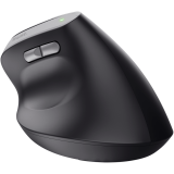 Souris Trust Bayo II Wireless Black (25145)