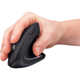 Souris Trust Verto Wireless Black (22879)