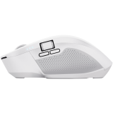 Souris Trust Ozaa+ White (24935)