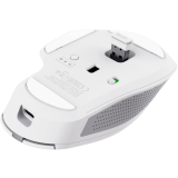 Souris Trust Ozaa+ White (24935)