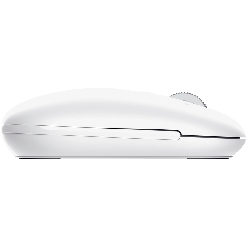 Souris Trust Seron White - 26019 - photo 6