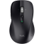 Souris Trust Ferro Black - 25673