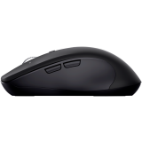 Souris Trust Ferro Black (25673)
