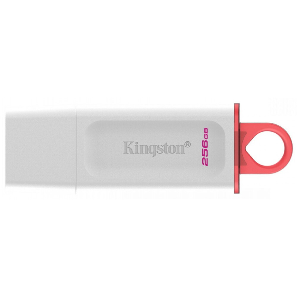 Clé USB 256GB Kingston DataTraveler Exodia (KC-U2G256-5R)