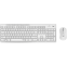 Clavier + souris Logitech MK295 Silent Wireless Combo White (920-009820)