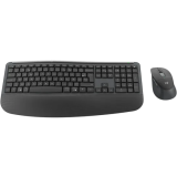 Clavier + souris Logitech MK880 For Graphite (920-014048)