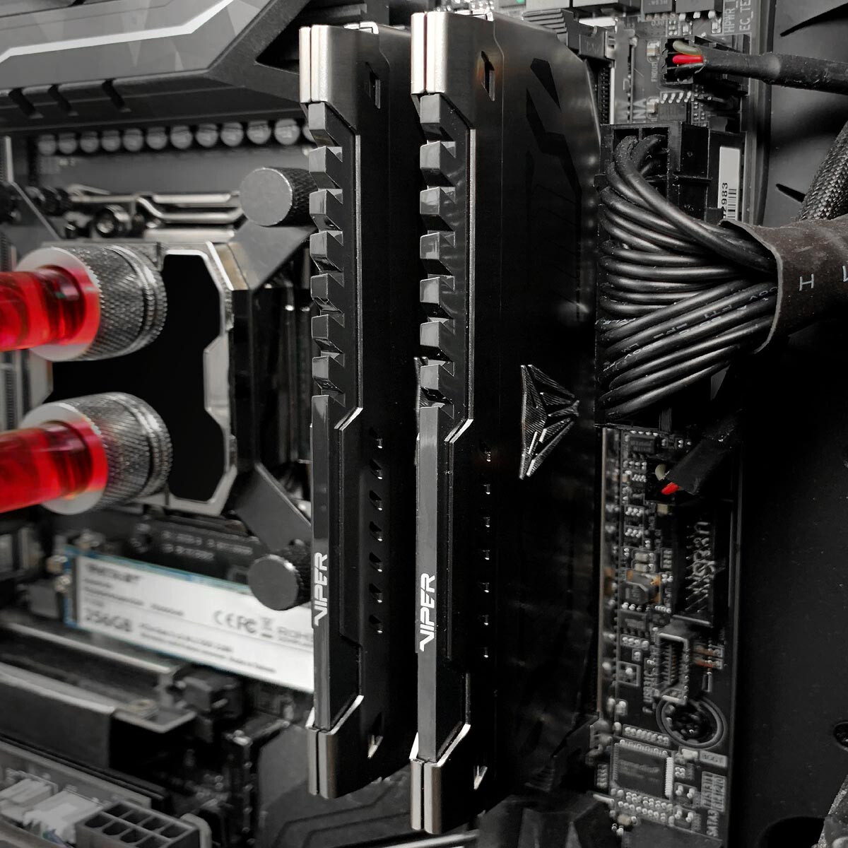 Mémoire vive 8GB DDR4 3600MHz Patriot Viper Steel (PVS48G360C8) - photo 3