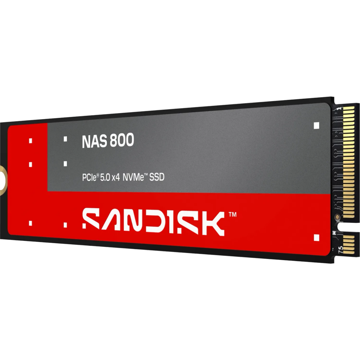 Stockage SSD 1.92TB SanDisk NAS 800 (SDSNP2192TAN)